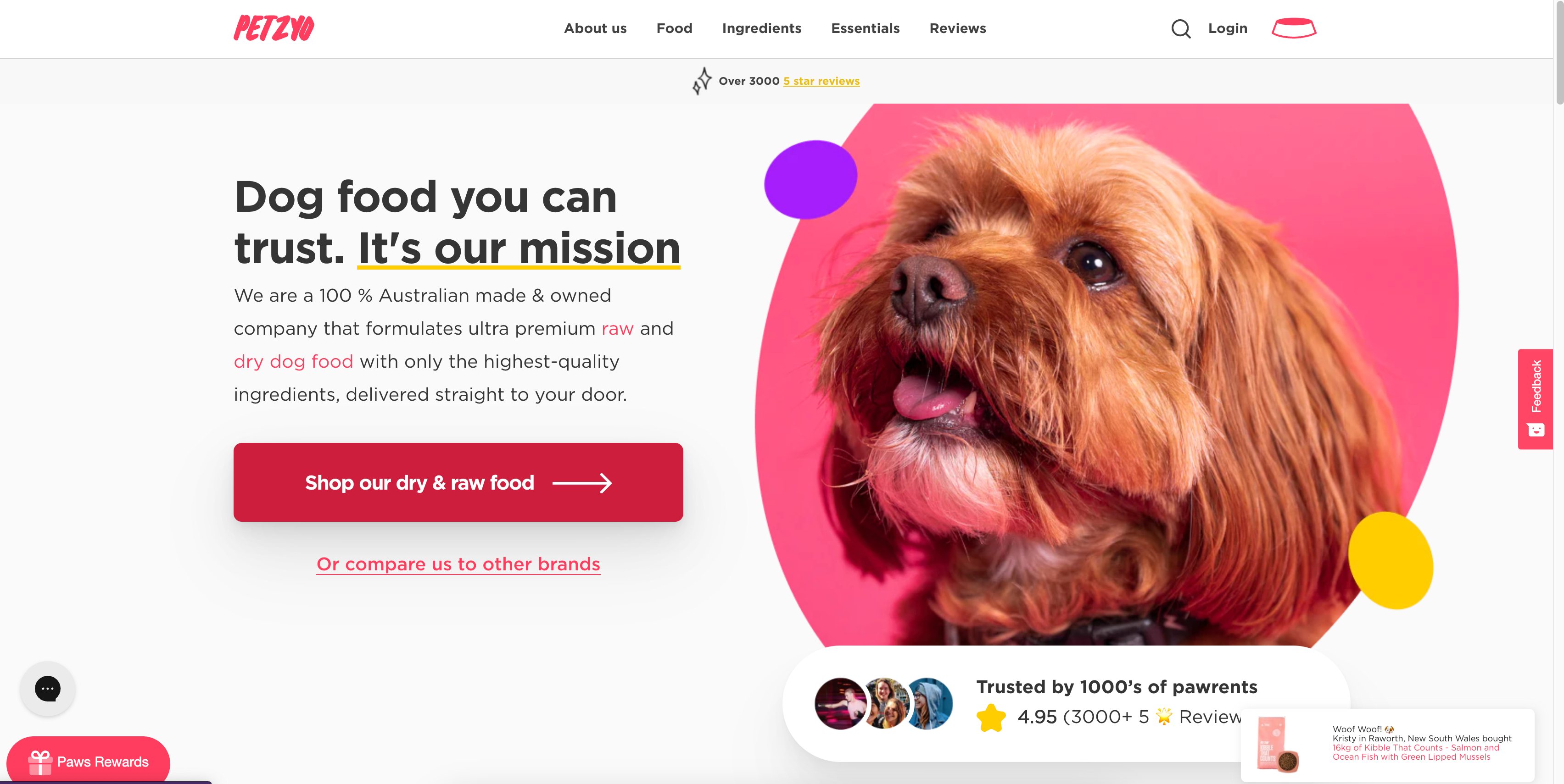 Petzyo website for social proof